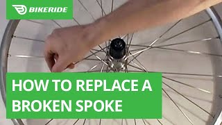 How to Replace a Broken Spoke