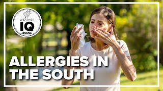 Why allergies may be worse in the South this year | Weather IQ