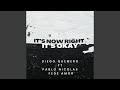 It's Not Right It's Okay (feat. Pablo nicolas & Fede Amor)