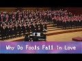 Why Do Fools Fall in Love (arr. Teena Chinn) - National Taiwan University Chorus