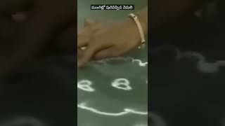 ముంగిట్లో పురివిప్పిన నెమలి, #shorts #youtubeshorts #rangoli #trending #Deepikacreations