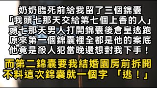 奶奶臨死前給我三個錦囊 頭七那天男人打開錦囊後倉皇逃跑原來第一個錦囊裡都是他的案底 他還想對我下手而第二錦囊要我結婚園房前拆開 錦囊就一個字 「逃！」#書林小說 #重生 #爽文 #情感故事 #唯美频道