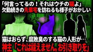 【怖い話】欠勤続きの先輩を心配して訪ねるも様子がおかしい…。猫のゲージには腐敗臭のするヌ個の人形があり…【ゆっくり】