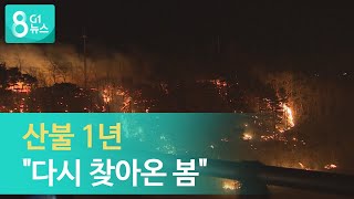 [G1뉴스]  산불 1년 \