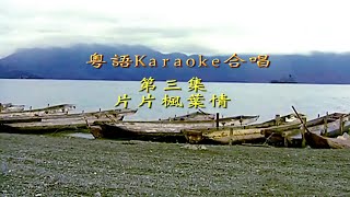 KARAOKE粵語流行曲精選之合唱金曲3 (有人聲及歌詞字幕) Cantonese Pops with Lyrics- Duet Karaoke #3