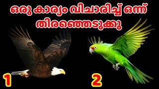 💫💫ഒരു ആഗ്രഹം വിചാരിച്ച് മനസ്സ് പറയുന്ന ചിത്രം തിരഞ്ഞെടുക്കുക