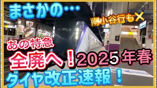 【マジか！こんなに変わるの⁉️】各線特急が色々消滅だと⁉️2025年春JR東日本ダイヤ改正が衝撃すぎて…‼️