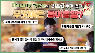 [앵무새키우기]리프승수가 구독자분들 만나러왔습니다~ 앵무새 고민 무엇이든 해결?!