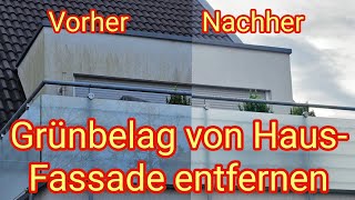 Grünbelag von Hauswand selbst entfernen (ohne Hochdruckreiniger) mit Abacus Nell Fassade