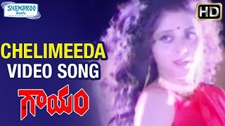 Gaayam Telugu Movie Songs | Chelimeeda Video Song | Jagapathi Babu | Revathi | Shemaroo Telugu