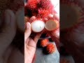 rambutan season fruit shorts trending fruit rambutan