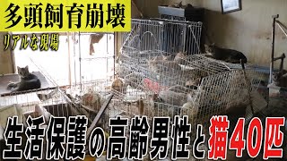 【多頭飼育崩壊】生活保護の高齢男性と猫40匹…リアルな現場