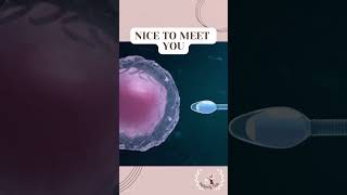 SPERM MEETS EG! PREGNANCY! BABY ARRIVAL! BABY BUMP! embryo #pregnancytips  #shorts