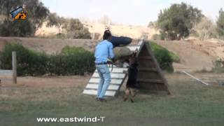 Eastwind Training (Protection Course) Shamshoun