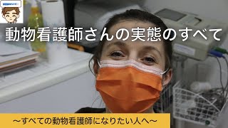 【㊙資料】動物看護師さんの実態のすべて　〜給料、勤務時間、ボーナス、やりがい、つづけたいか〜