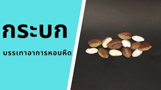 ประโยชน์ของกระบก | Wild Almond | กินผักเป็นยา