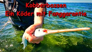 Fliegenfischen in MV - Kobberbassen, ein Köder mit Fanggarantie