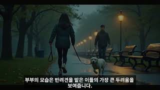 시댁과 반려동물 사이에서 생긴 민감한 문제들 TOP5, 어떻게 해결할까?