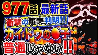 【ワンピース 977感想妄想考察】カイドウに衝撃の事実が判明！●子がいた？しかも普通じゃない？！