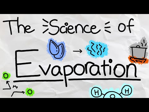 What happens to minerals when water evaporates?