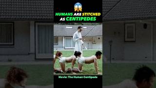 [1/2] THE HUMAN CENTIPEDE PLEASES THE DOCTOR! [Movie Recap] #shorts #movierecommendation