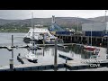 warrenpoint county down northern ireland things to do in warrenpoint visit warrenpoint