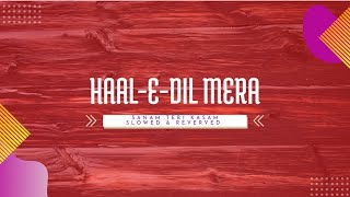 HAAL-E-DIL MERA | SLOWED & REVERVED | SANAM TERI KASAM