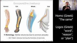 Evolution 6 (Comparative Anatomy & Embryology)