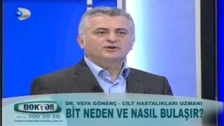 Bit neden ve nasıl bulaşır?