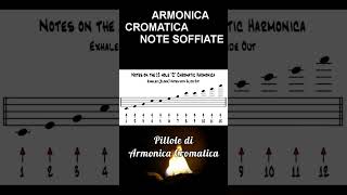 Blow | Hole/Note Layout of the Chromatic Harmonica