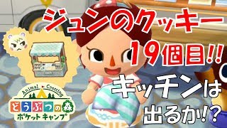 【ポケ森】ジュンのアフタヌーンカフェのクッキー19個目！今回こそ出るかキッチン！！【どうぶつの森ポケットキャンプ】無課金でゆったり実況