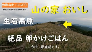 生石高原で食べる絶品卵かけごはん【和歌山かってにＰＲ】第549回「山の家おいし」2024年10月17日　たまご牧場まきばの卵を使用