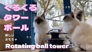 新しいおもちゃ【くるくるタワーボール】Rotating ball tower（バーマン猫）Birman/Cat