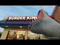 shark puppet burger king🍔👑🦈