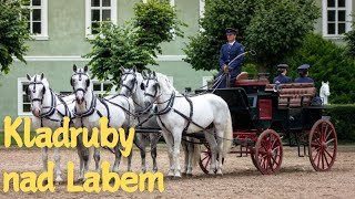 Exploring Kladruby nad Labem: Breeding and Training Ceremonial Carriage Horses