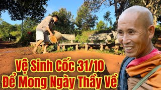 Sáng ngày 31 tháng 10, Em Nô xuống Cốc Thầy Minh Tuệ dọn Cốc để mong thầy về có chỗ ngồi