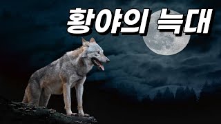 외로운 한마리 ‘황야의 늑대’