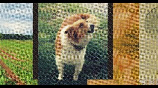 CMYK Separation in Photoshop for Silkscreen