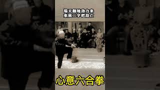 心意六合拳：塌天翻地勁力來，束展二字把敵亡  #心意六合拳  #功夫 #武術