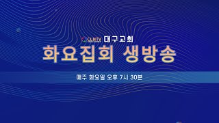 CLNTV 대구교회 화요집회 생방송 [2025. 01. 07. (화) 19:30~]