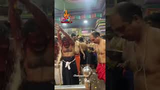 58th Year Ayyappa Mandala Pooja At Bapujinagar #ayyappa #bapujinagar #youtubevideo #kerala #vilakku