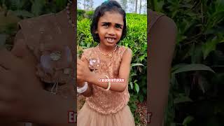 With Tea plant #shortsfeed #shorts #trendingshorts #music #song #reels #shortvideo #malayalamshorts