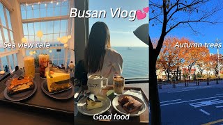 Busan Vlog 🍁| What I eat in Busan, Sea view cafe, salt bread, haeundae beach, 💕🧸