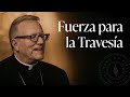 Fuerza para la Travesía - Sermón del Domingo del obispo Robert Barron