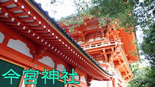 今宮神社　桂昌院　御朱印　玉の輿　京都十六社