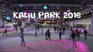 BARCELONAUTES / KALIU PARK - PISTA DE HIELO 2016 -  ANTONIO PERAL DIRECTOR