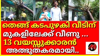 തെങ്ങ് കടപുഴകി വീടിന് മുകളിലേക്ക് വീണു ... 13 വയസ്സുക്കാരൻ അത്ഭുതകരമായി രക്ഷപ്പെട്ടു..