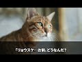 【スカッと】5ldk新居に無断で義両親を呼ぶ夫「今日から同居な！荷解きしろw」私「え？あなたの荷物ないよ？浮気相手の旦那に送ったw」→真実を知った義両親ブチギレ【総集編】