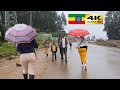 HEAVY RAIN at Entoto , 🇪🇹 Addis Ababa walking Tour 2024 , Ethiopia