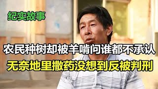 辛勤耕耘惨被羊啃，无辜农民撒药却遭判刑！冤屈难辨令人扼腕